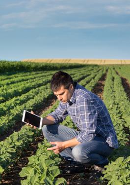 Hombre trabajando en un campo