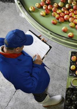Seguridad Alimentaria